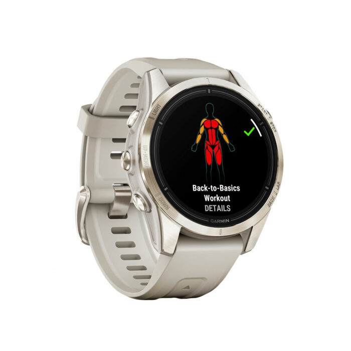 010-02802-11 epix garmin